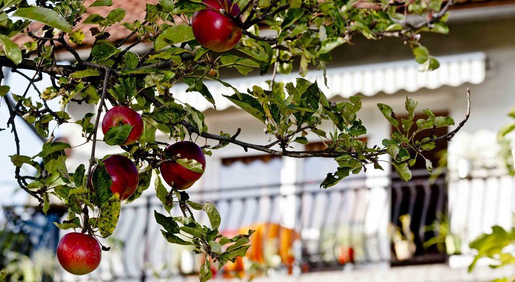 Apartman Sestine Ζάγκρεμπ Εξωτερικό φωτογραφία
